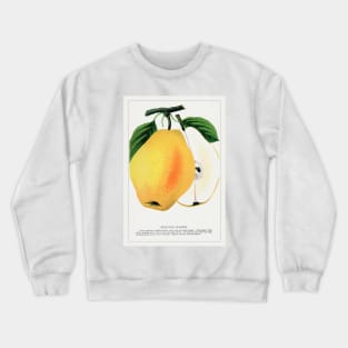 Kiefer's Hybrid Pear Lithograph (1900) Crewneck Sweatshirt